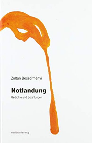 Notlandung: Gedichte und Erzählungen