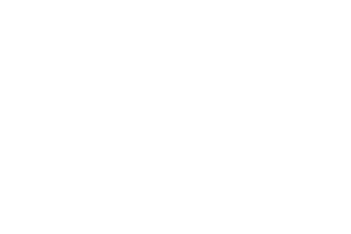 佐尔坦·博斯佐尔梅尼