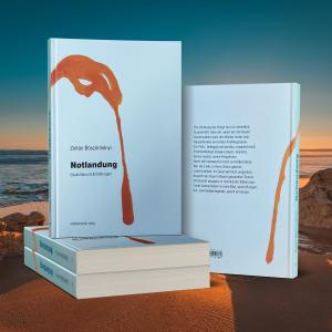   Notlandung – Gedichte und Erzählungen
