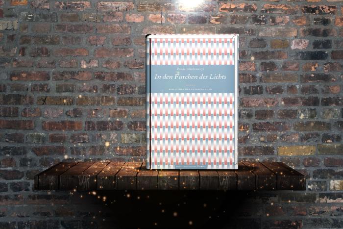   In den Furchen des Lichts 