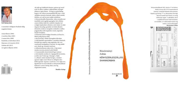  Kényszerleszállás Shannonban