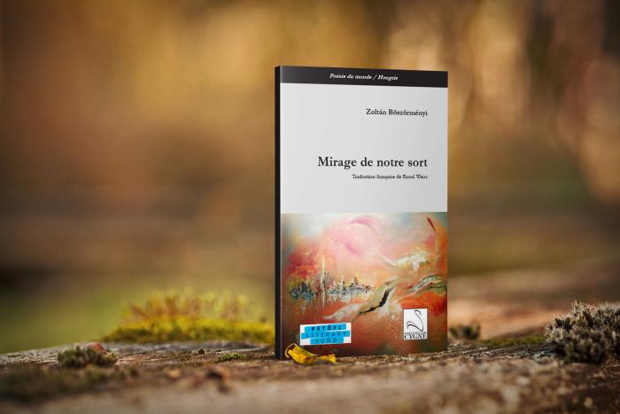 Mirage de notre sort