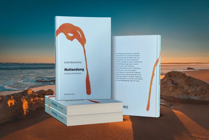 Notlandung – Gedichte und Erzählungen (magyarul és németül)