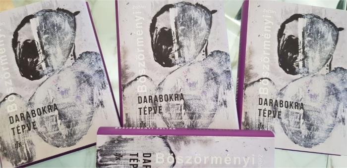 Brauch Magda: Gondolatok Böszörményi Zoltán Darabokra tépve című regényének elolvasása után 