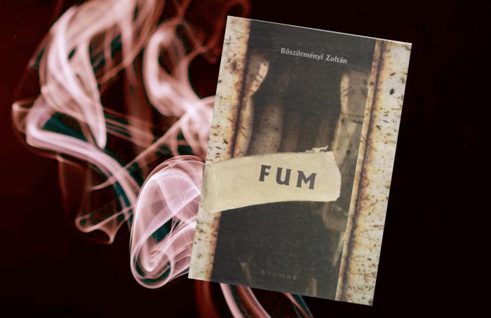 Pataki Zoltán: Megelevenedett „a völgy” mágikus világa – A Füst román nyelvű változatának bemutatója