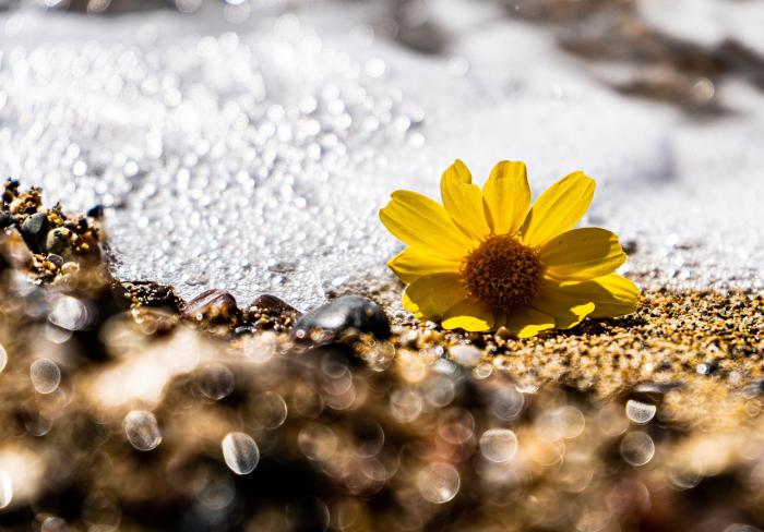 A PART HOMOKJÁN ELEVEN ISTEN JÁR