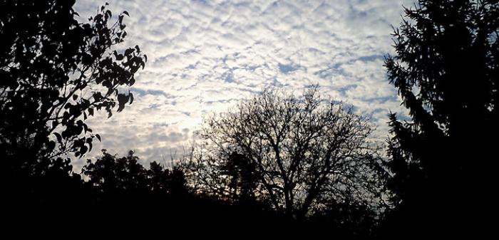 HARMONIA PRAESTABILITA