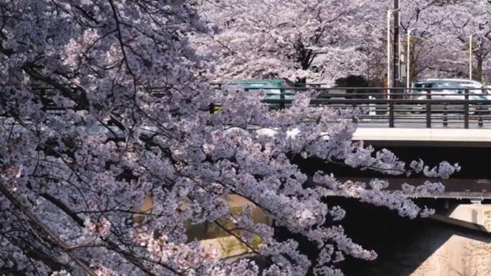 SOHA VÉGET NEM ÉRŐ SZERETKEZÉS – videó